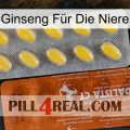 Ginseng Für Die Niere 42